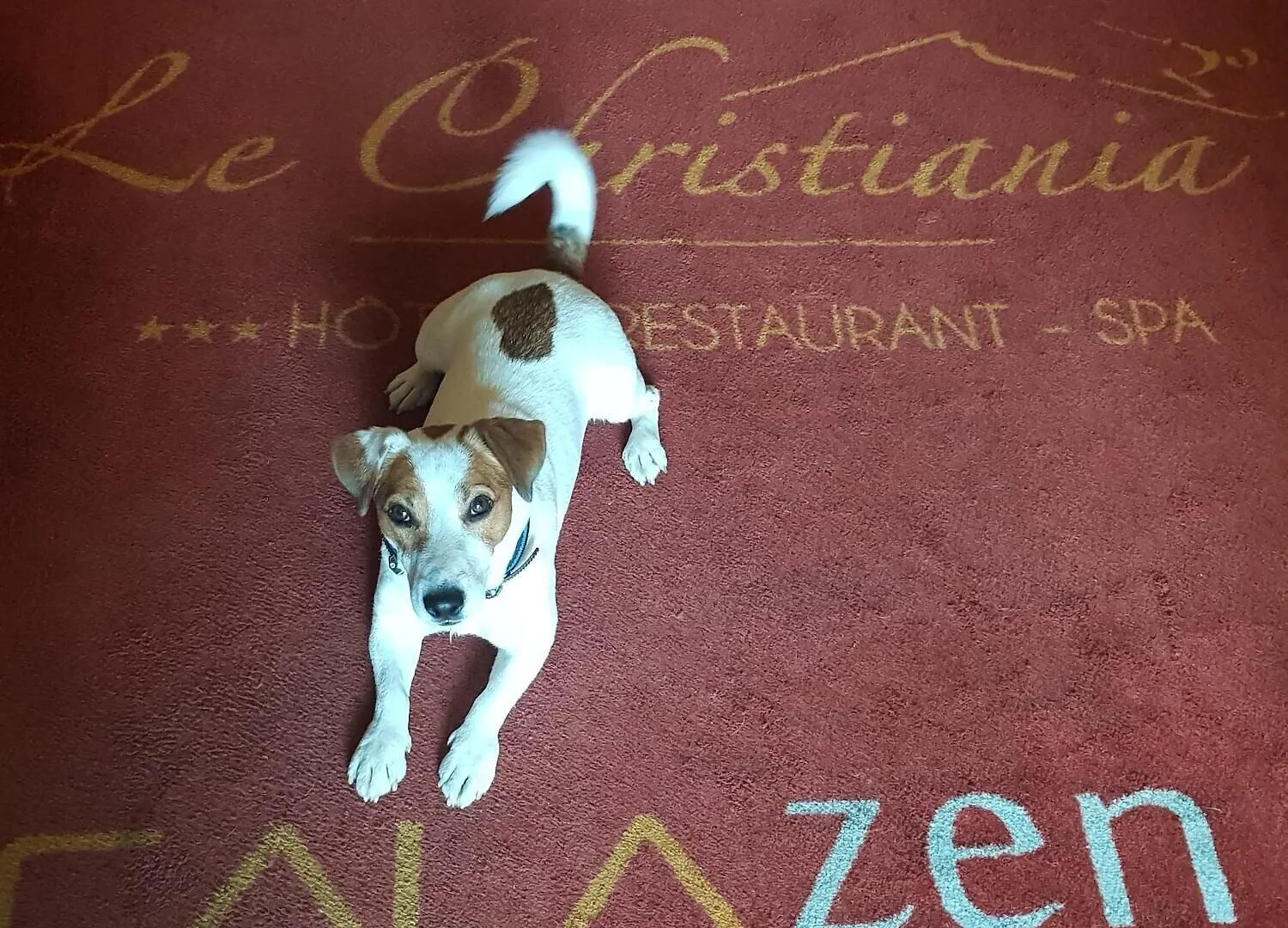 Logis Hotel Et Spa Le Christiania