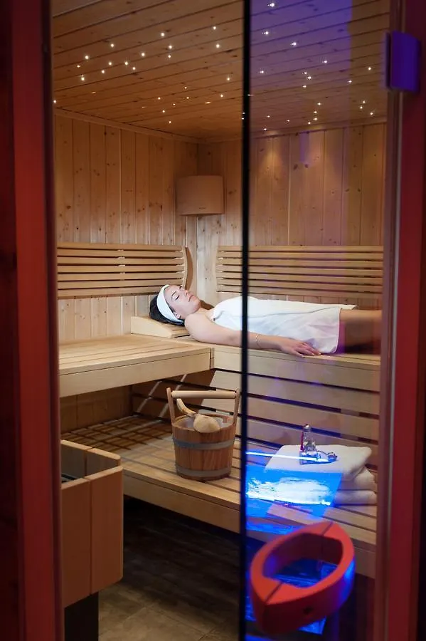 Logis Hotel Et Spa Le Christiania La Salle-les-Alpes